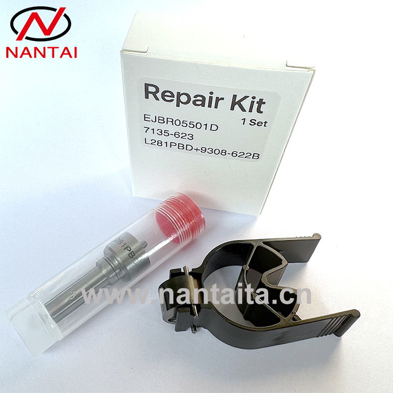 7135-623 Delphi New Injector Repair Parts Nozzle Valve Kit
